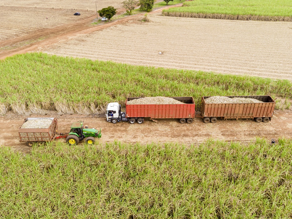 agronegócio transporte