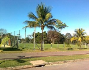 aquarela-brasil Mato Grosso