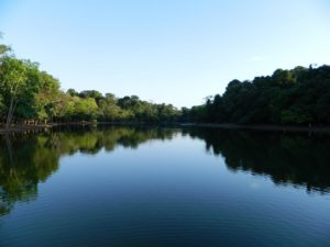 parque-florestal