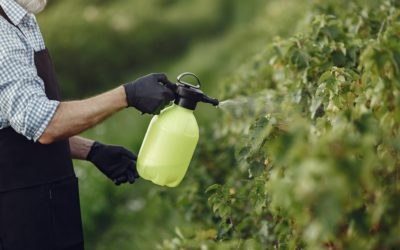 Fertilizantes: a guerra entre Rússia e Ucrânia afeta o transporte do produto no Brasil?