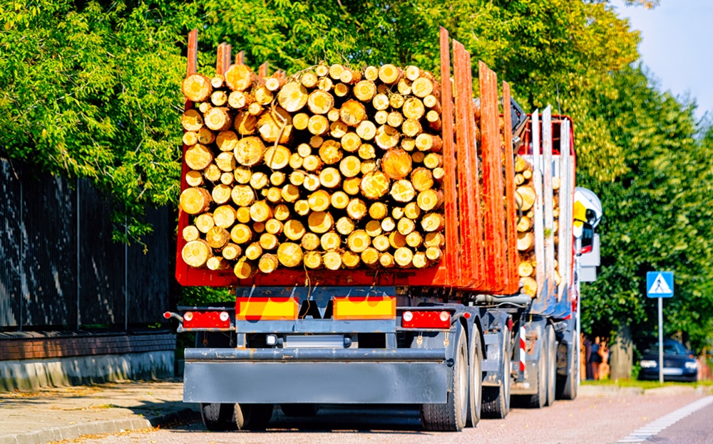transporte-florestal-vale-pedágio