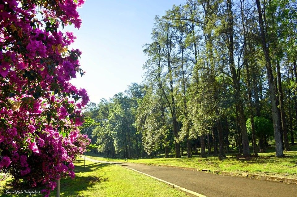 bosque-anníbal-bianchini-da-rocha-pontos-turisticos