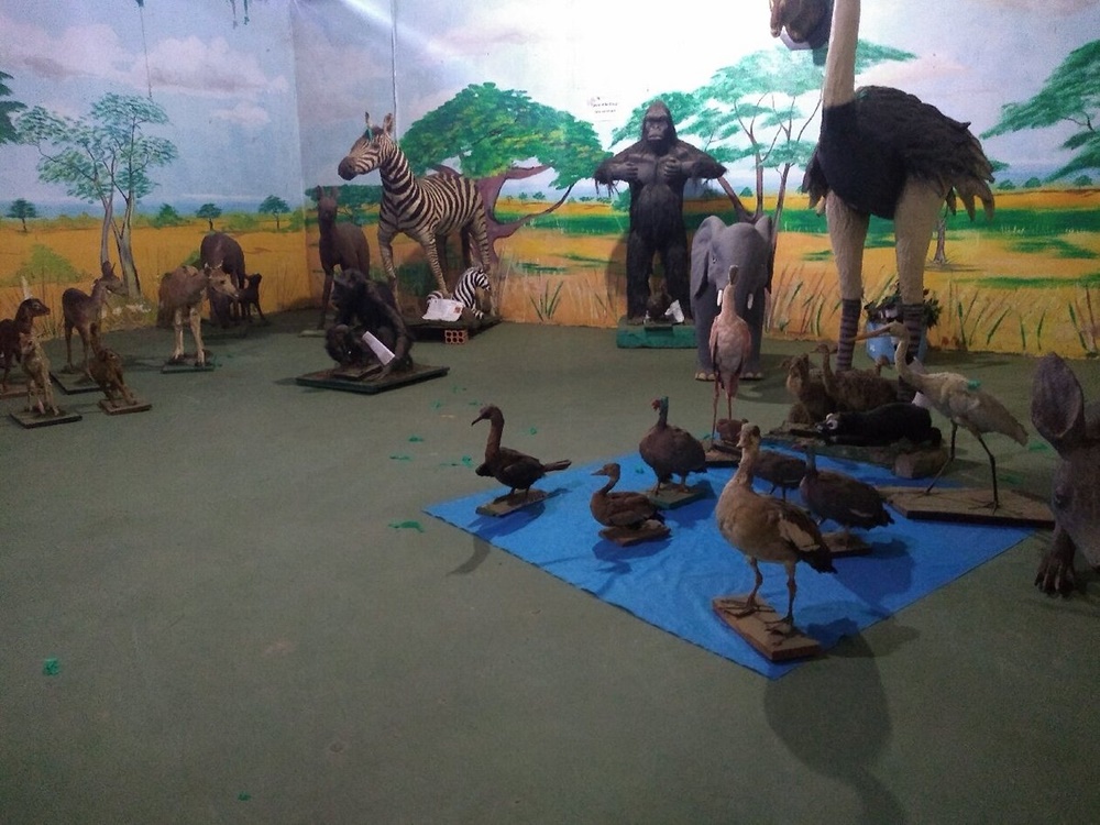 zoo-museu-PagBem