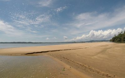Turismo: o que fazer na cidade de Itaituba?