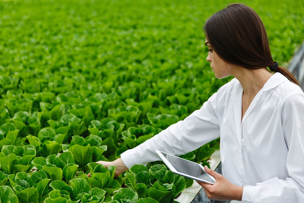 mulher com tablet na mão analisando uma plantação