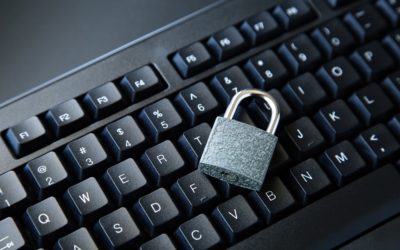 LGPD: como as transportadoras devem proceder?